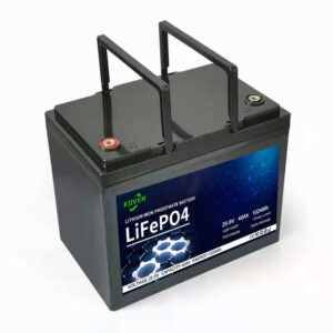 pl33968331-2500_cycles_lithium_ion_rv_lifepo4_battery_12v_80ah_4s2p_m8_terminal 拷贝
